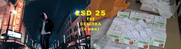 стаф Абинск