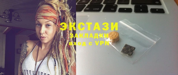 сатива Сатка