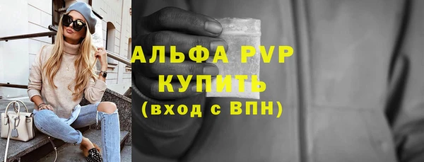 стаф Абинск