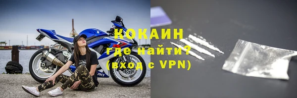 стаф Абинск