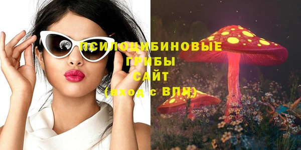 гидропоника Абаза