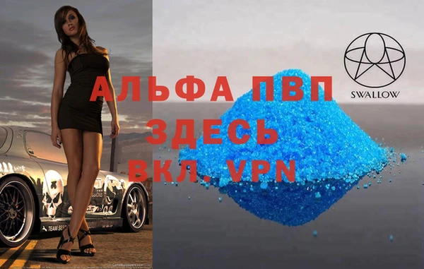 стаф Абинск