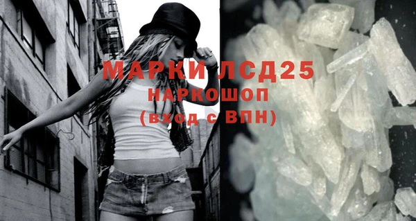 сатива Сатка